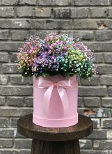 Цветочная композиция из Гипсофила и Розы в шляпной коробке #REPLACE_PRED# Костерево
