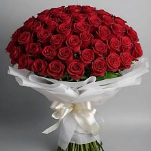 Букет 101 Красная роза Блэк Мэджик в Костерево