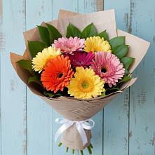 Букет цветов из:  Герберы #REPLACE_PRED# Костерево