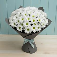 Букет цветов из:  Хризантемы в Костерево