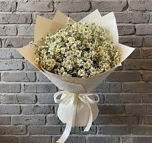 Букет цветов из:  Ромашки в Костерево