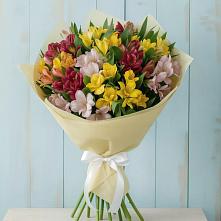 Букет цветов из:  Альстромерии в Костерево