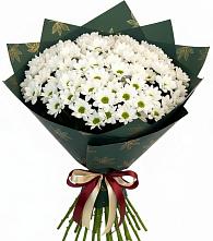 Букет цветов из:  Хризантемы в Костерево