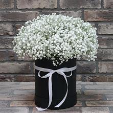 Цветочная композиция из Гипсофила в шляпной коробке в Костерево
