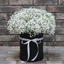 Цветочная композиция из Гипсофила в шляпной коробке в Костерево