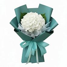 Букет цветов из:  Гортензия в Костерево